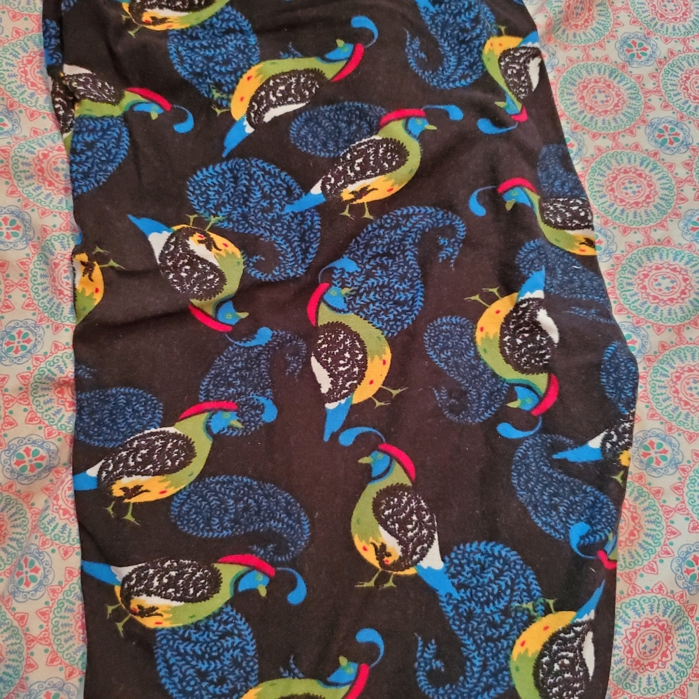 Lularoe TC Leggings